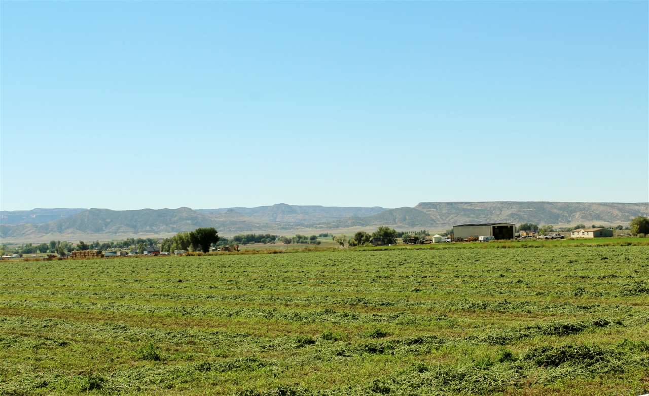 1349 Q Road Loma, CO 81524 - Photo 3 of 32 a view of a lush green field with mountains in the background
