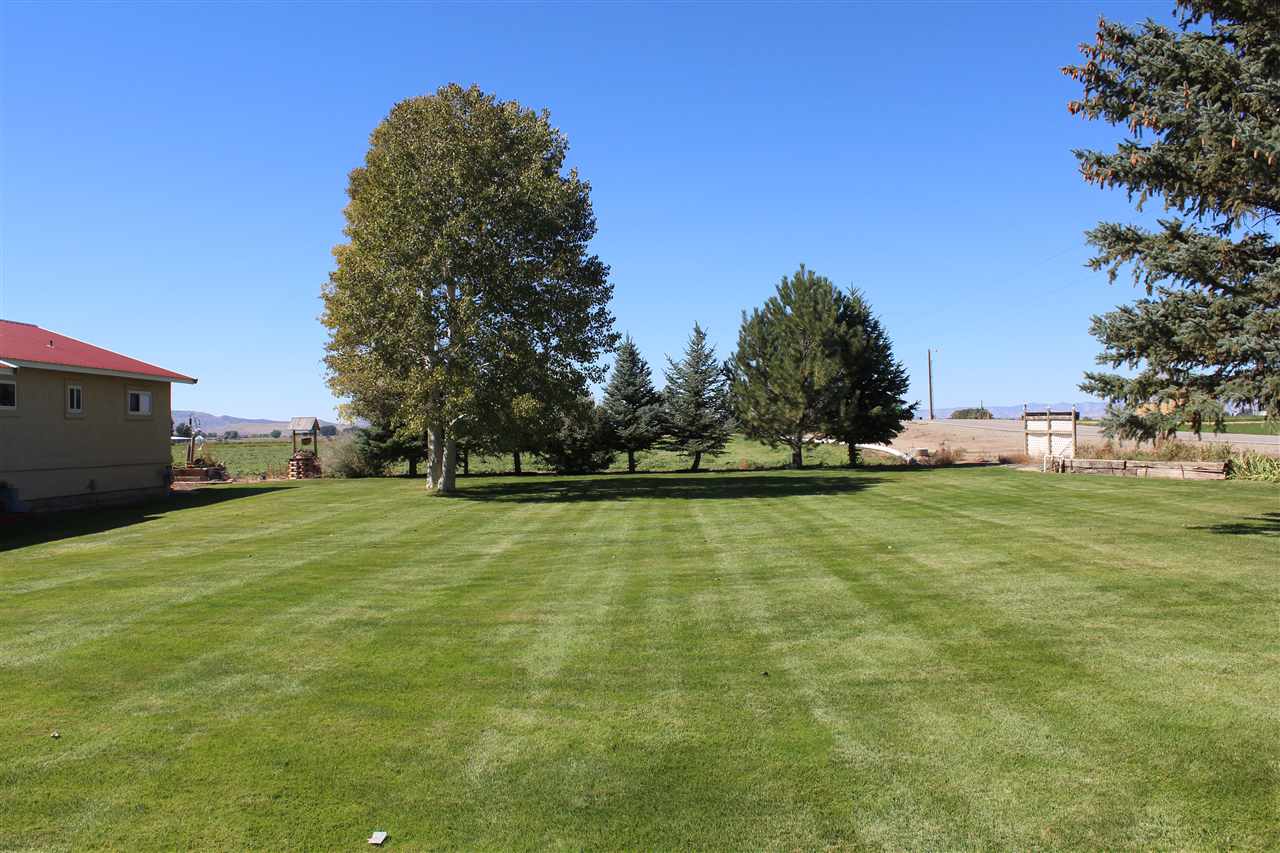 1349 Q Road Loma, CO 81524 - Photo 4 of 32 a yard with a house in the background