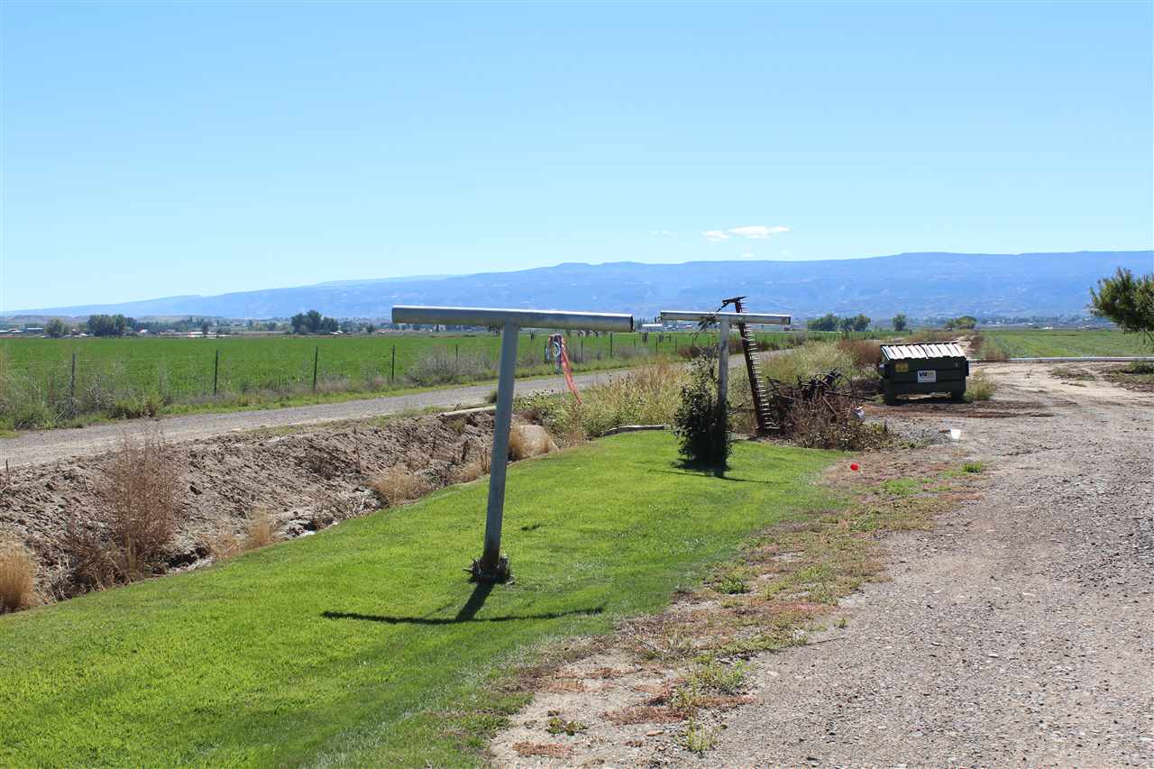 1349 Q Road Loma, CO 81524 - Photo 10 of 32 a view of a field with a tree in the background