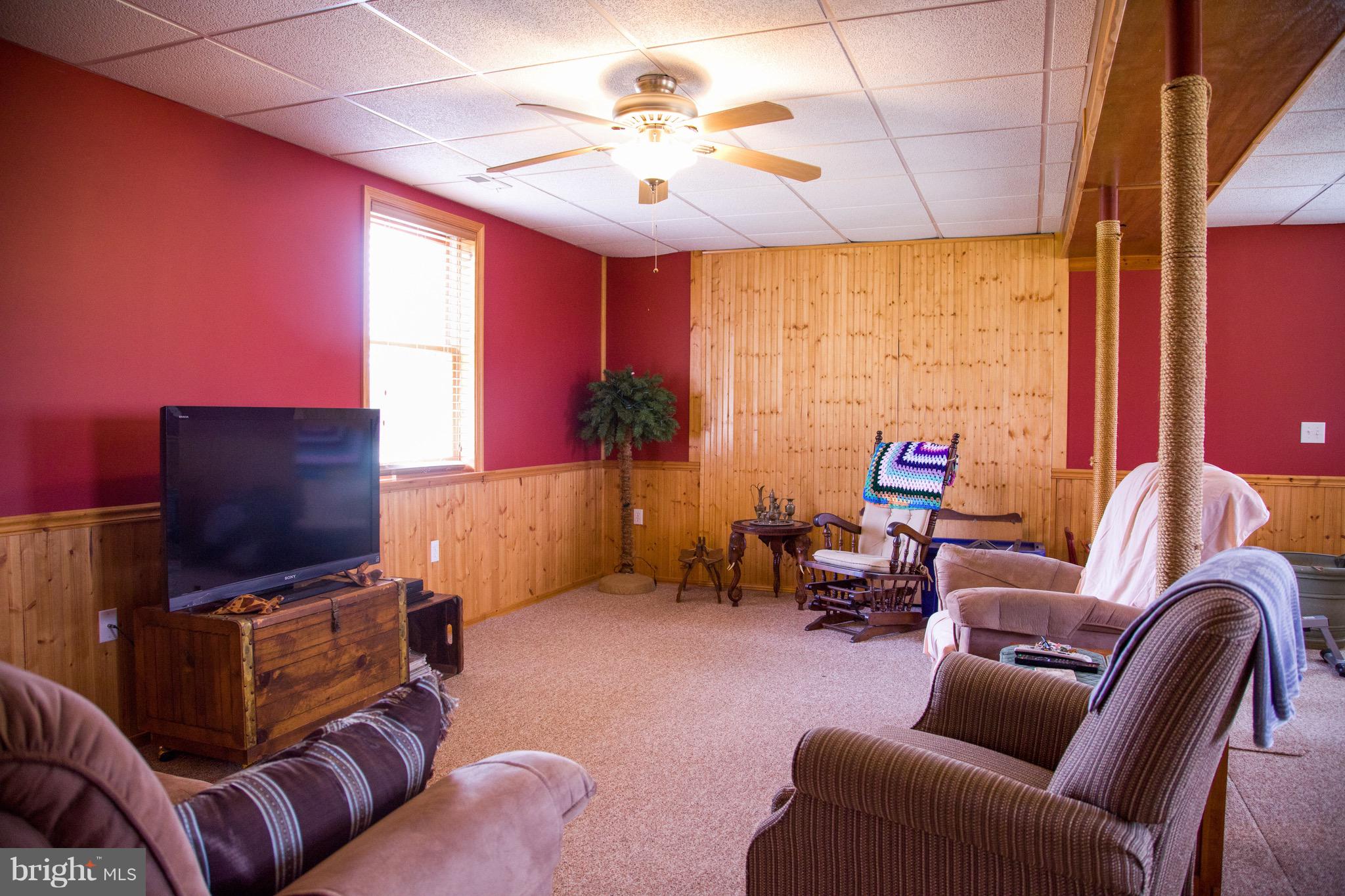 9179 Settle School Road Rixeyville, VA 22737 - Photo 22 of 30 Basement family area