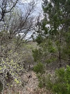 $50,000 | 20801 Jamestown Cove, Leander, TX 78645