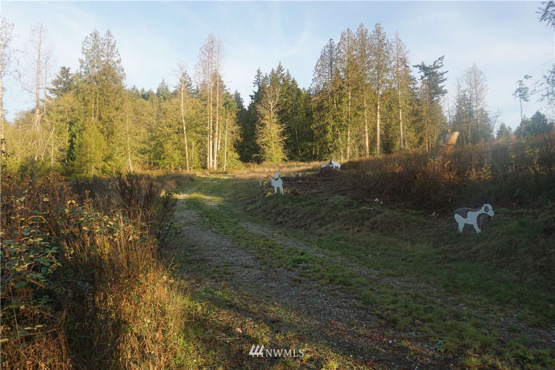 5055 Bayview Road Langley, WA 98260 - Photo 11 of 19 Gallery Image 11