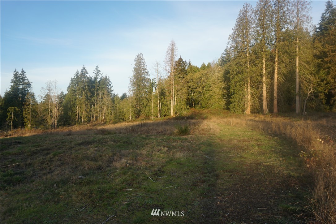 5055 Bayview Road Langley, WA 98260 - Photo 12 of 19 Gallery Image 12
