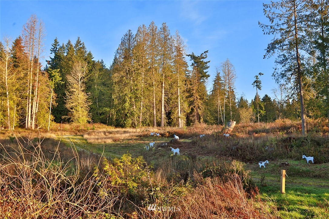 5055 Bayview Road Langley, WA 98260 - Photo 13 of 19 Gallery Image 13