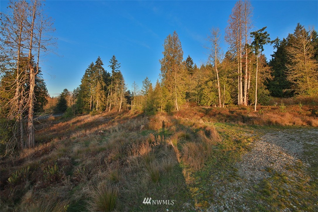 5055 Bayview Road Langley, WA 98260 - Photo 19 of 19 Gallery Image 19