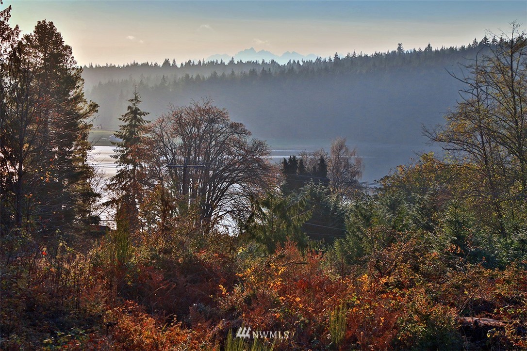 5055 Bayview Road Langley, WA 98260 - Photo 4 of 19 Gallery Image 4