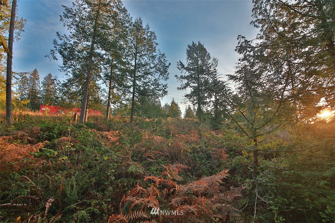 5055 Bayview Road Langley, WA 98260 - Photo 8 of 19 Gallery Image 8