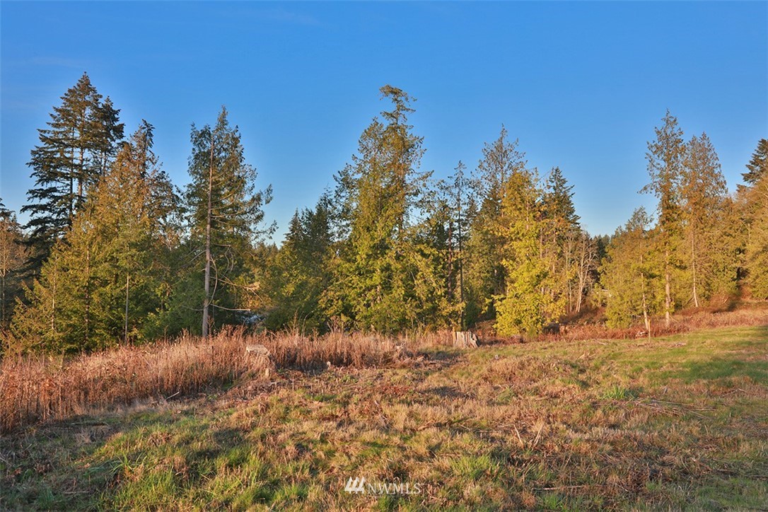 5055 Bayview Road Langley, WA 98260 - Photo 9 of 19 Gallery Image 9