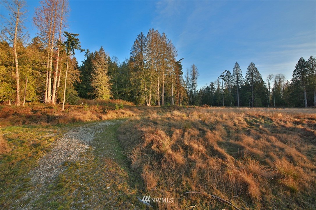 5055 Bayview Road Langley, WA 98260 - Photo 10 of 19 Gallery Image 10