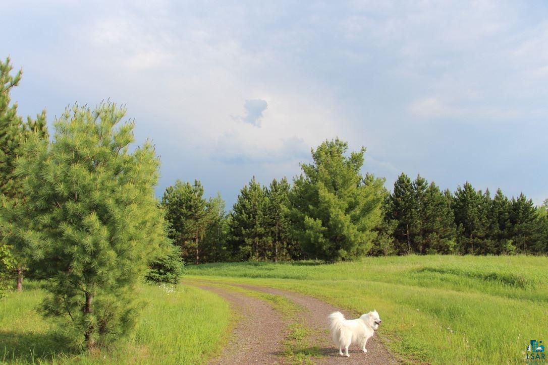 3559 Military Road Moose Lake, MN 55767 - Photo 13 of 14 Gallery Image 13