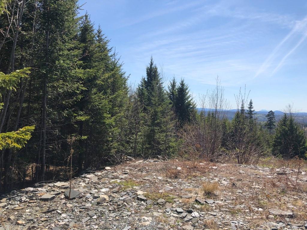 Tbd Tbd Alpine Ridge, Unit LOT 11 Greenville, ME 04441 - Photo 19 of 32 IMG_1668