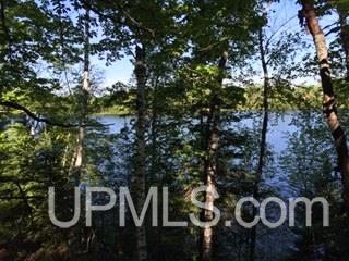 Tbd Tbd Maggie Pt Road, Unit 4E Crystal Falls, MI 49920 - Photo 7 of 7