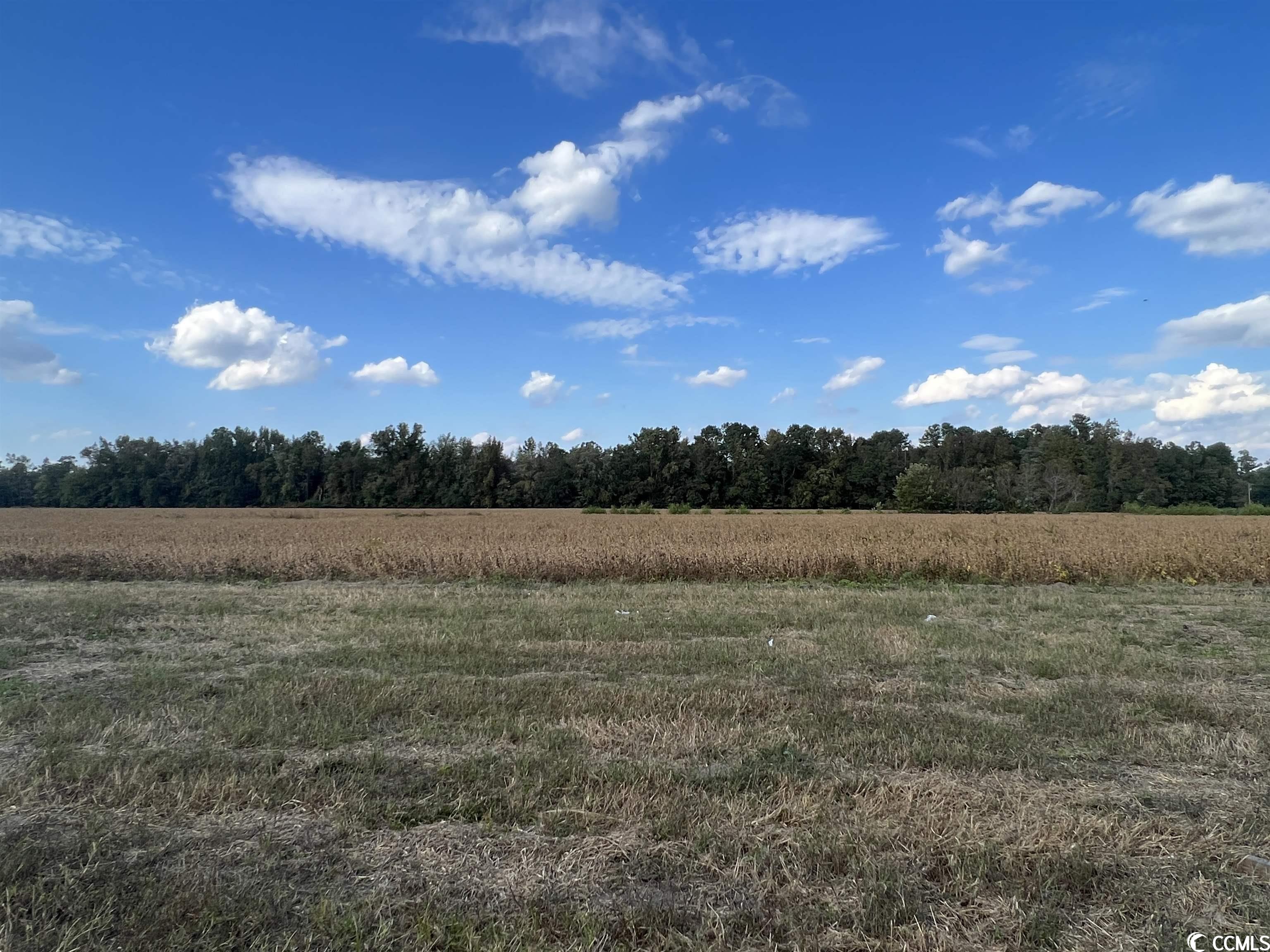 243 Highway 747 Loris Sc 29569 Loris, SC 29569 - Photo 2 of 19