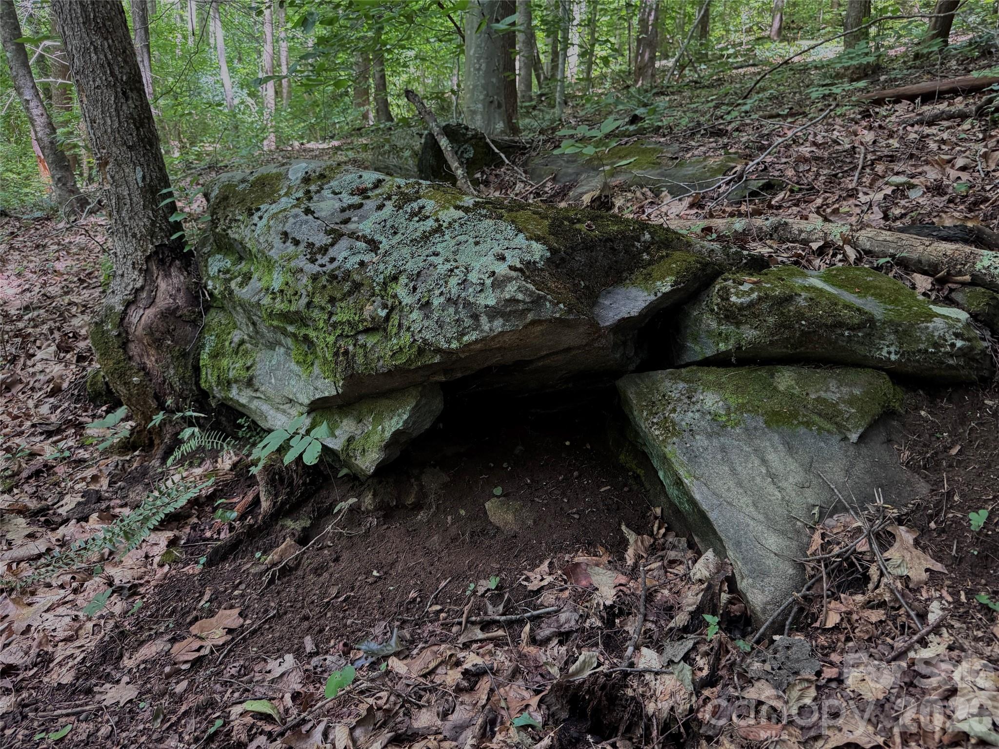 Tbd Paint Fork Road Barnardsville, NC 28709 - Photo 10 of 33 Gallery Image 10
