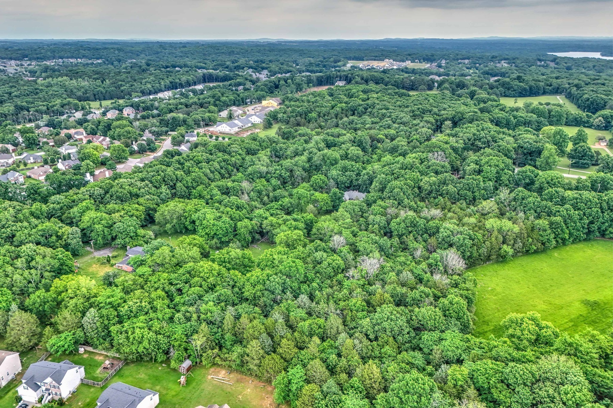 5544 South New Hope Road Hermitage, TN 37076 - Photo 39 of 62