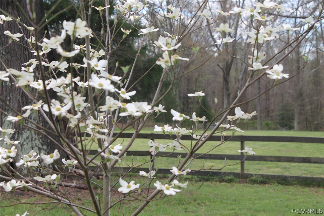 15352 Binns Road Doswell, VA 23047 - Photo 17 of 34