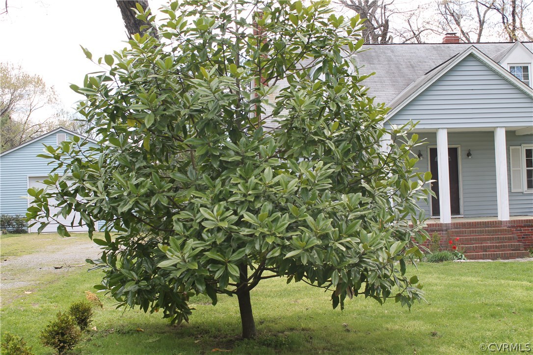 15352 Binns Road Doswell, VA 23047 - Photo 27 of 34