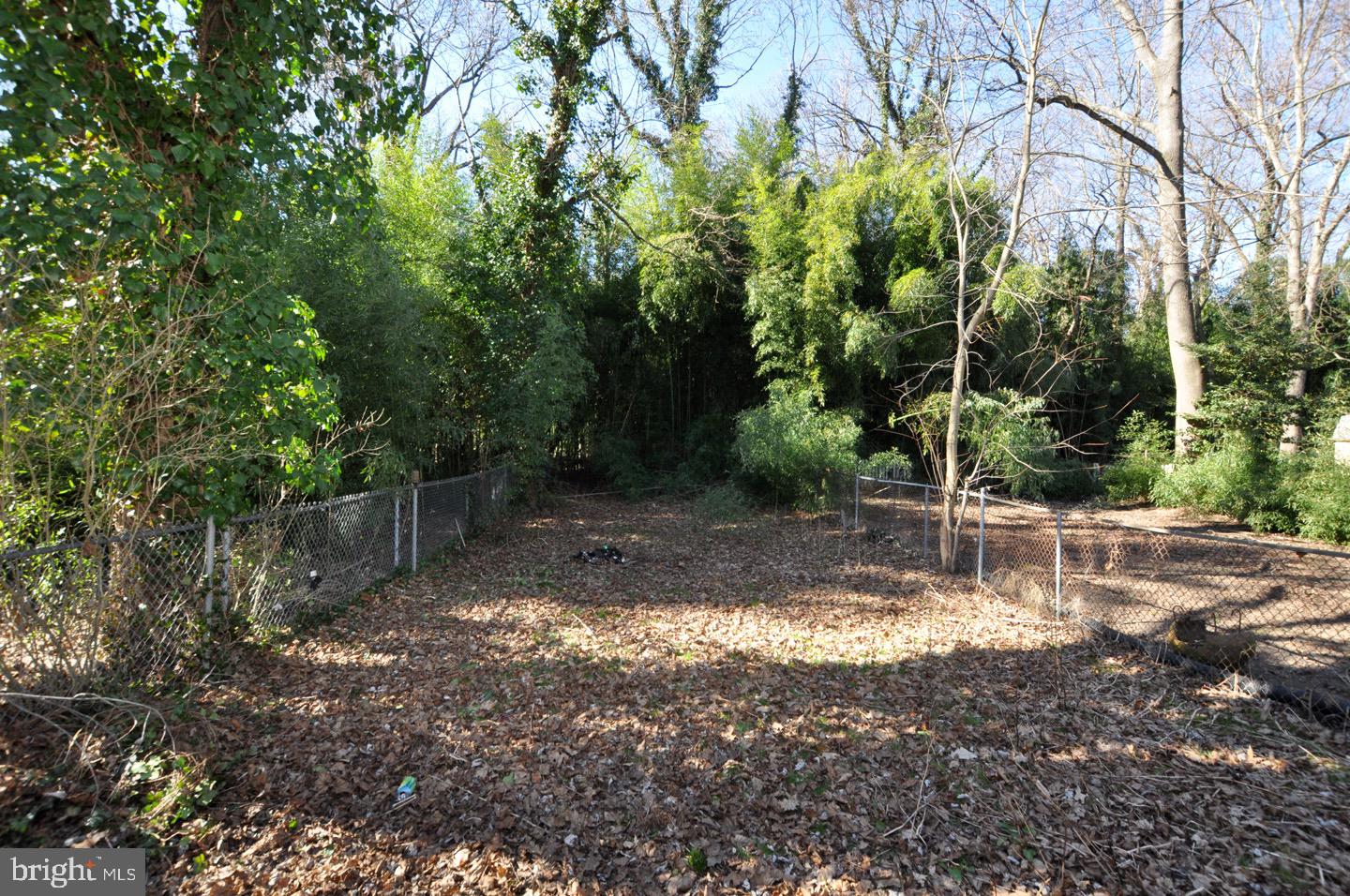 244 Rutland Avenue Mount Holly, NJ 08060 - Photo 17 of 17 Gallery Image 17