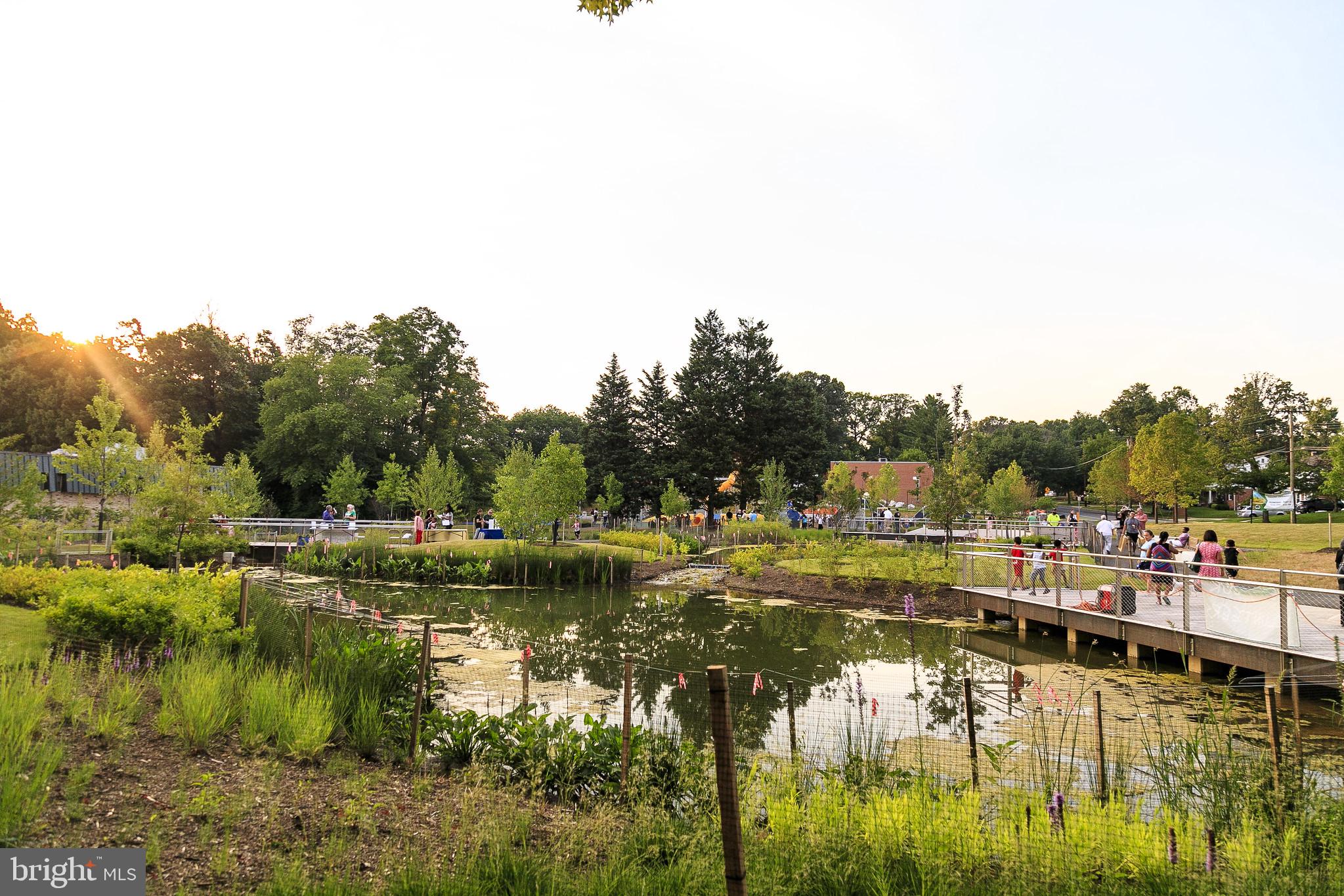 11106 Bybee Street Silver Spring, MD 20902 - Photo 32 of 33