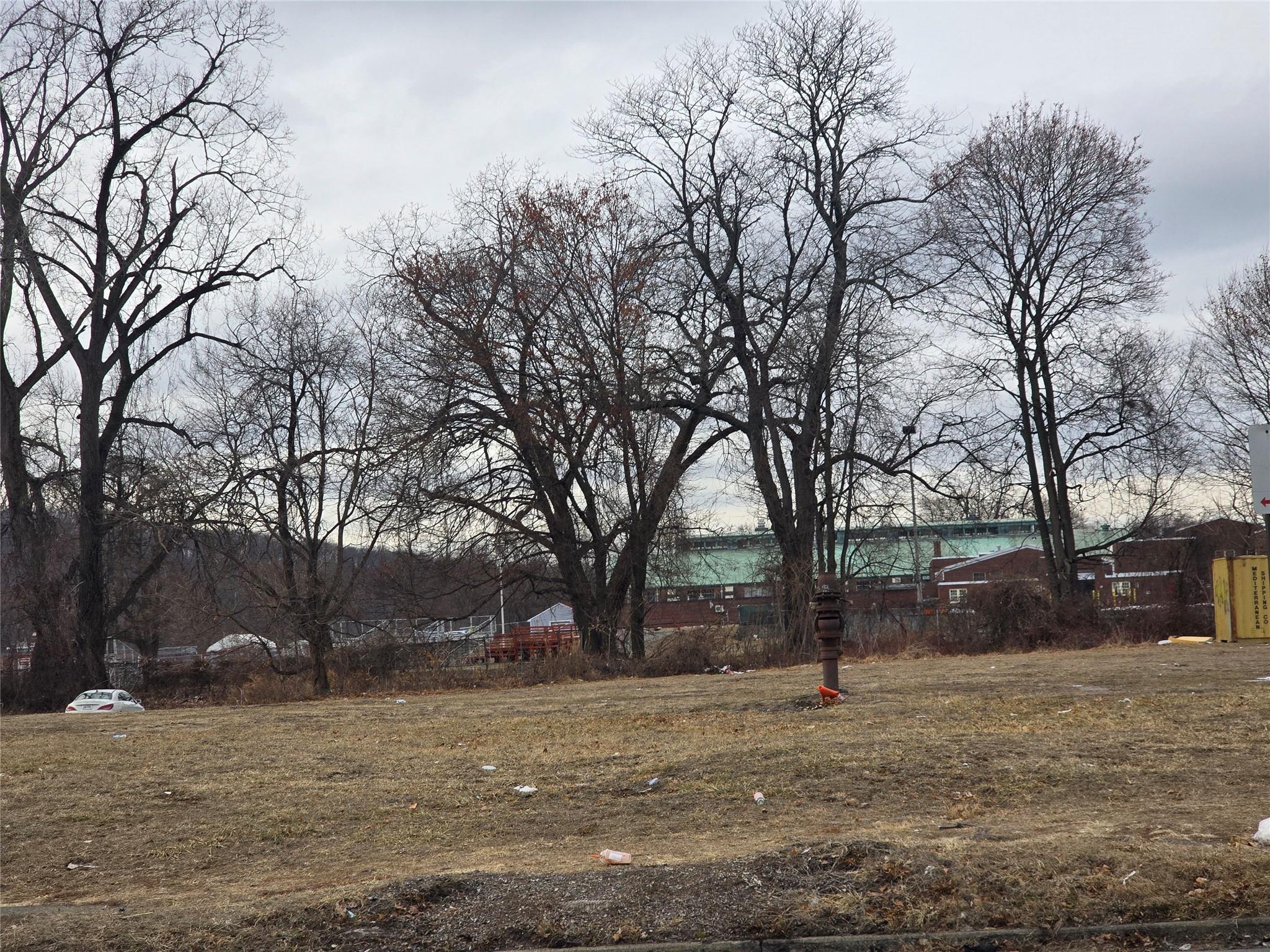 102 South Robinson Avenue Newburgh, NY 12550 - Photo 4 of 7 a view of a yard with a tree