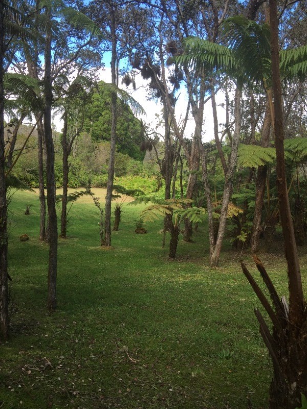 36 Kalani Honua Road Volcano, HI 96785 - Photo 3 of 10 Gallery Image 3
