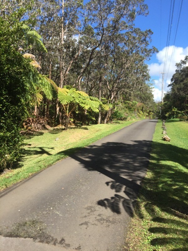 36 Kalani Honua Road Volcano, HI 96785 - Photo 8 of 10 Gallery Image 8