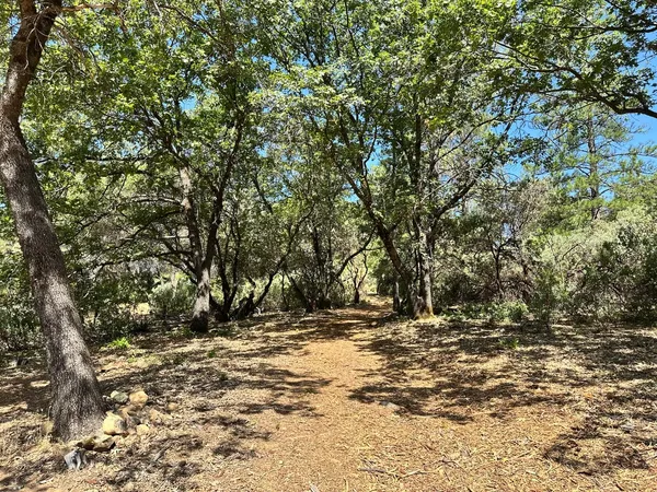 $650,000 | 1845 East Summit View Dr Meadow Vista, Meadow Vista, CA 95722