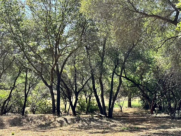 $650,000 | 1845 East Summit View Dr Meadow Vista, Meadow Vista, CA 95722