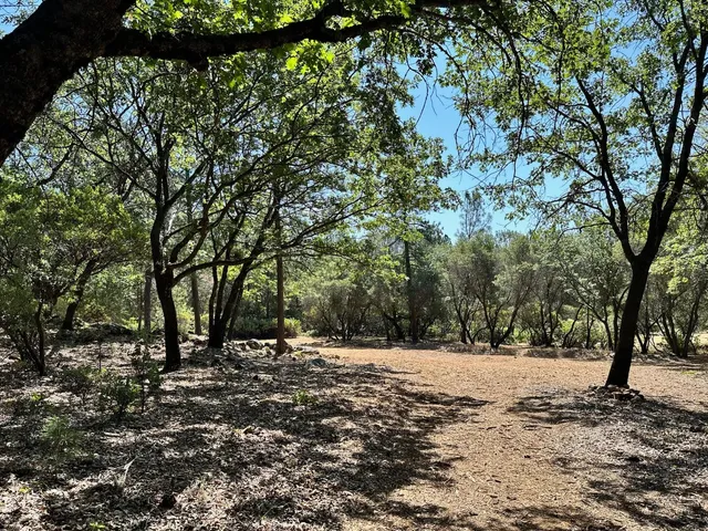 a view of outdoor space with trees