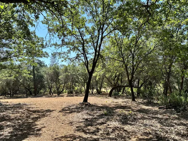 a view of outdoor space with trees