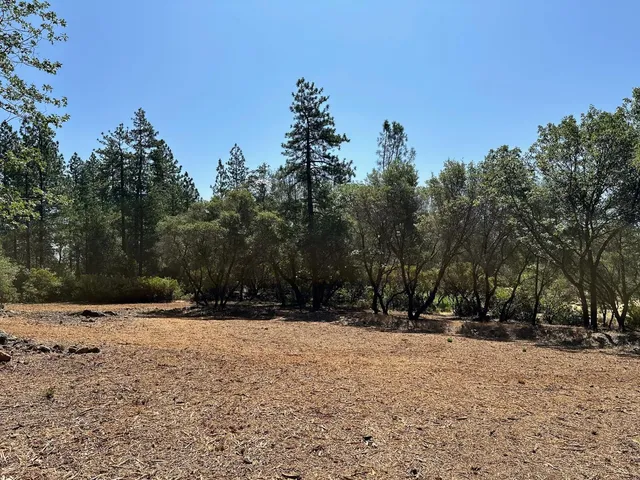 a view of outdoor space with trees