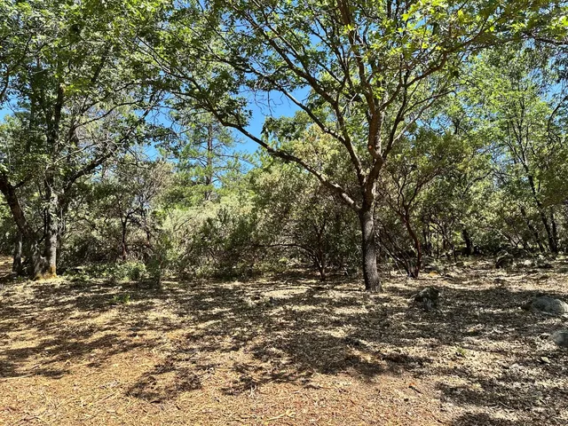 a view of a yard with a tree
