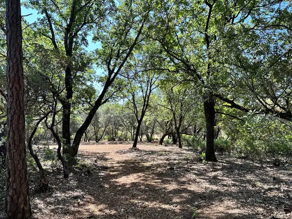 $650,000 | 1845 East Summit View Dr Meadow Vista, Meadow Vista, CA 95722