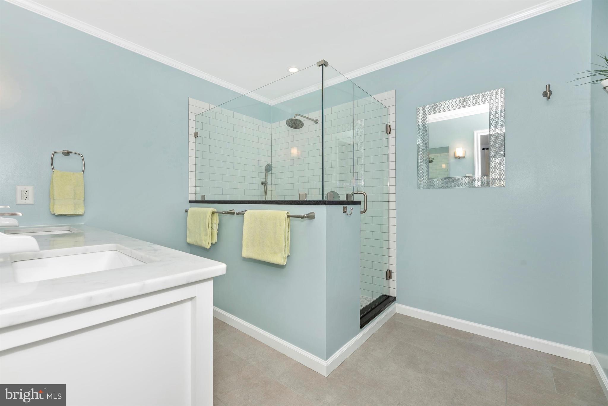 2611 Monocacy Ford Road Frederick, MD 21701 - Photo 20 of 52 Master Bath