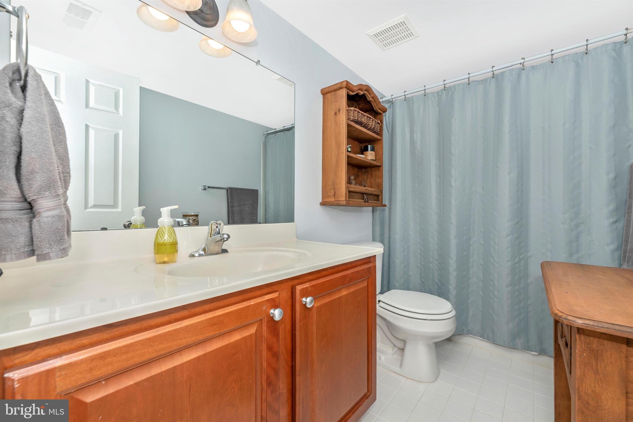 2611 Monocacy Ford Road Frederick, MD 21701 - Photo 32 of 52 Lower Level Bath
