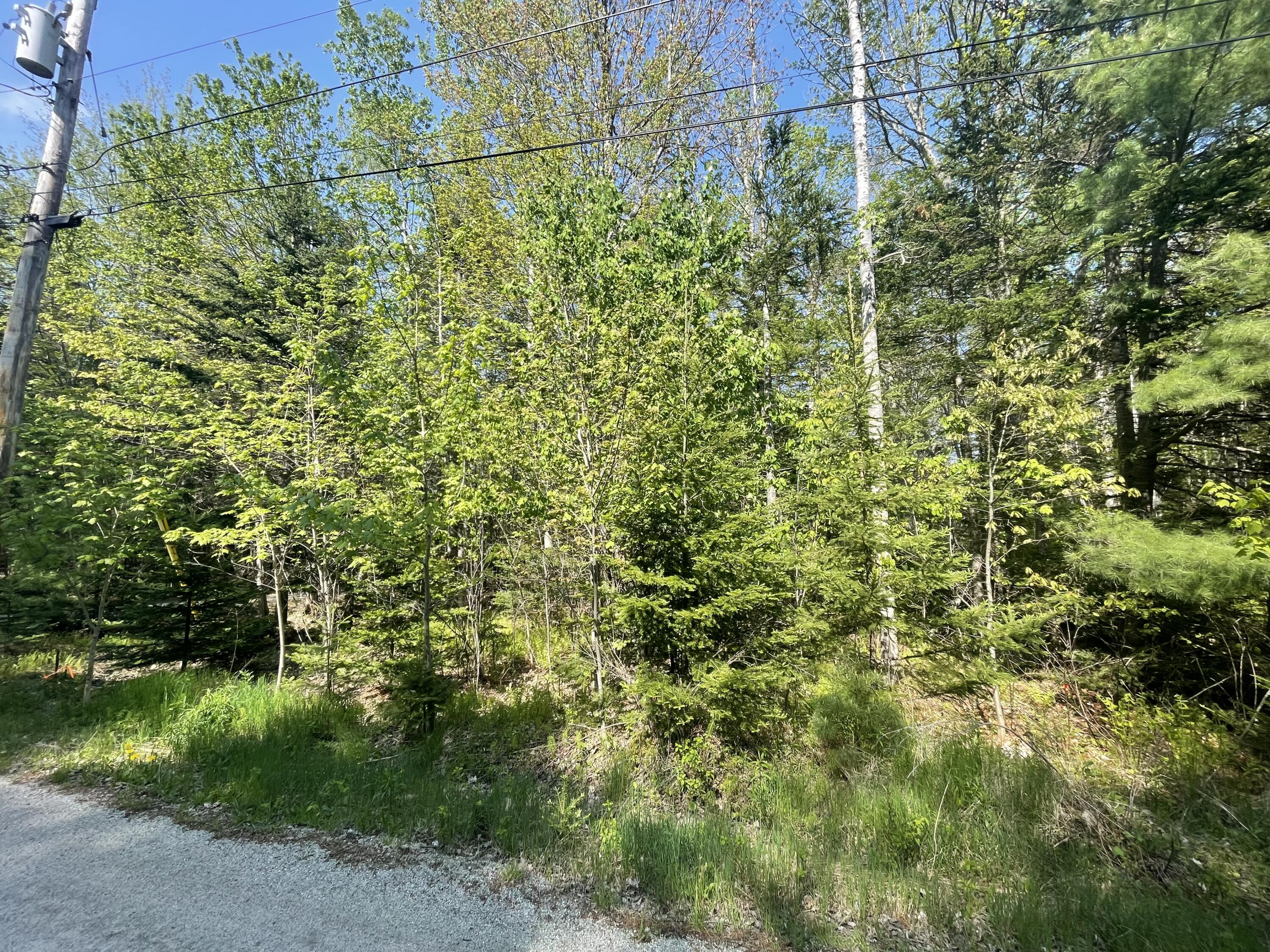 0 Harbor View Drive Hancock, ME 04640 - Photo 27 of 30 IMG_5412