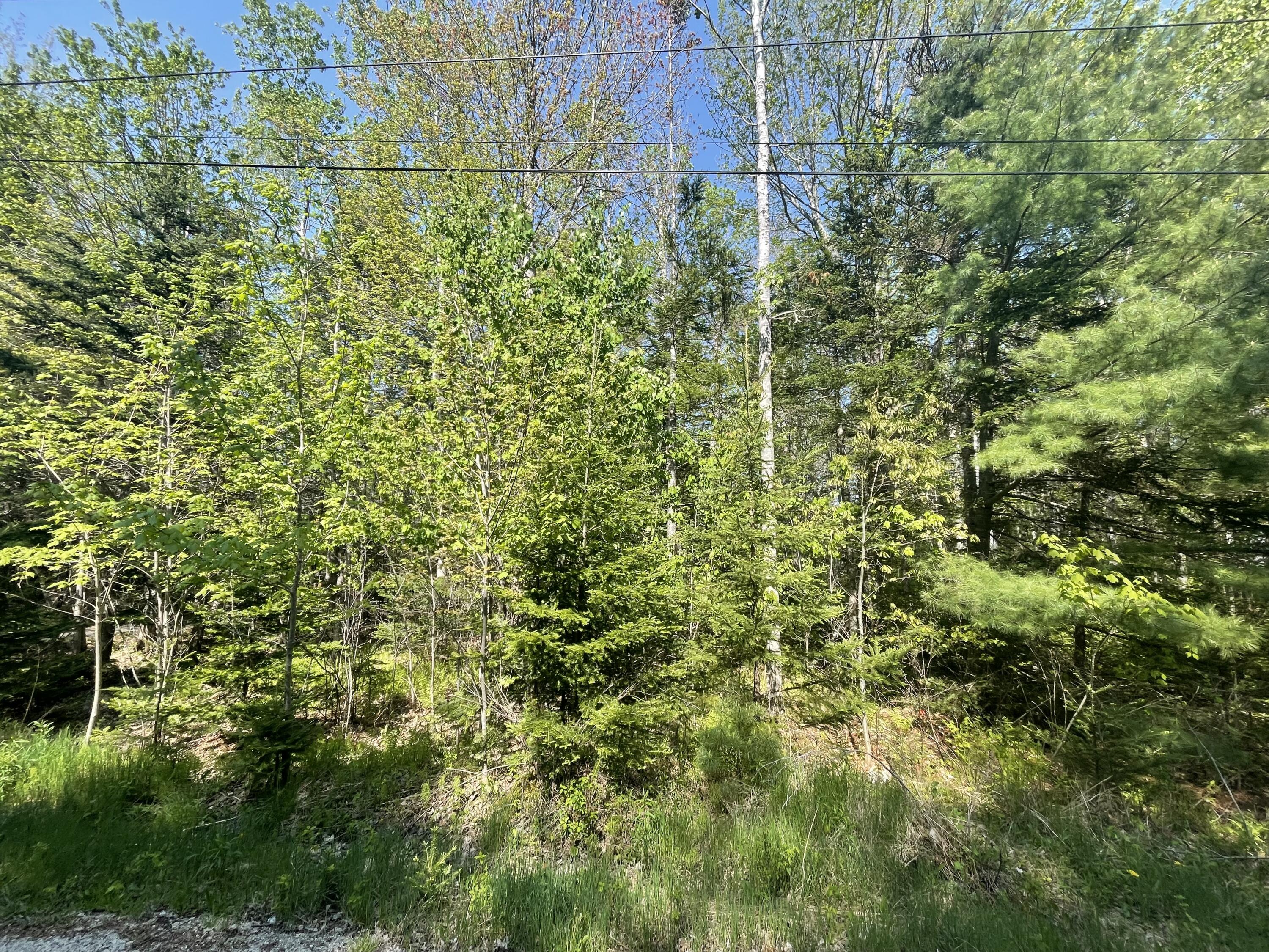 0 Harbor View Drive Hancock, ME 04640 - Photo 30 of 30 IMG_5411