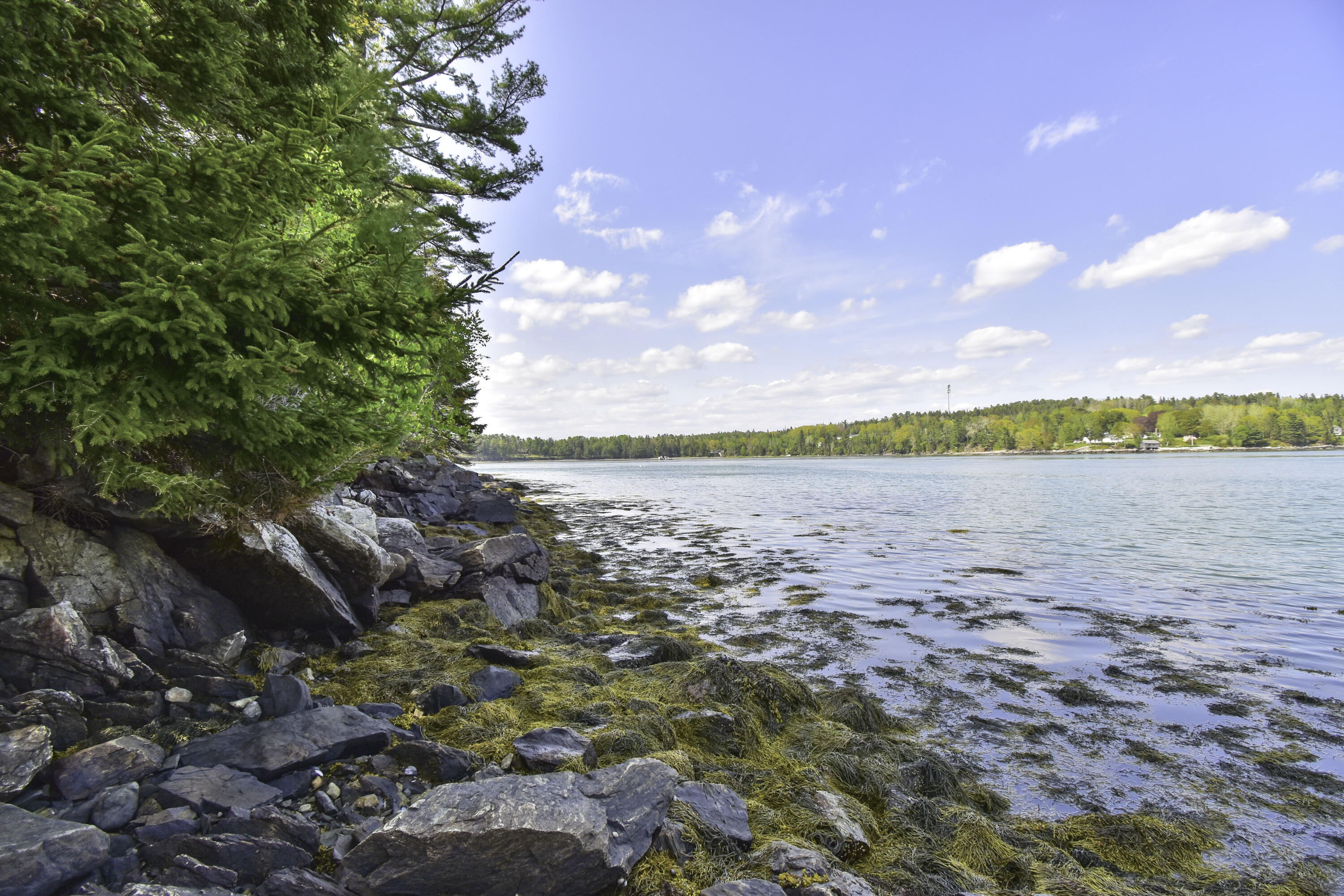 0 Harbor View Drive Hancock, ME 04640 - Photo 9 of 30 DSC_0239-Edit copy