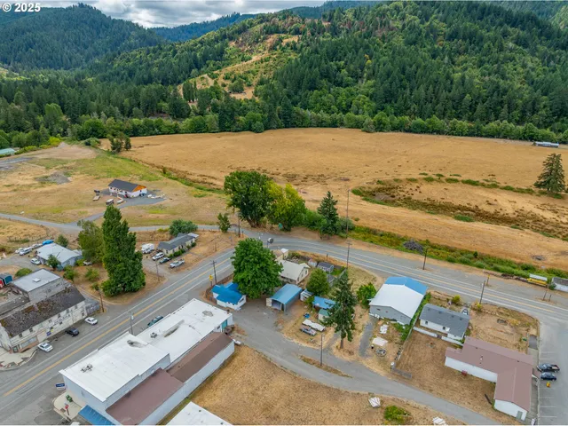 $205,000 | 141 Poplar Street, Powers, OR 97466