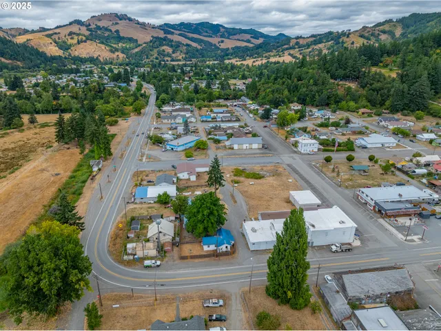 $205,000 | 141 Poplar Street, Powers, OR 97466