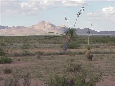 0 Rodeo Ranch Rodeo, AZ 88056 - Photo 1 of 3