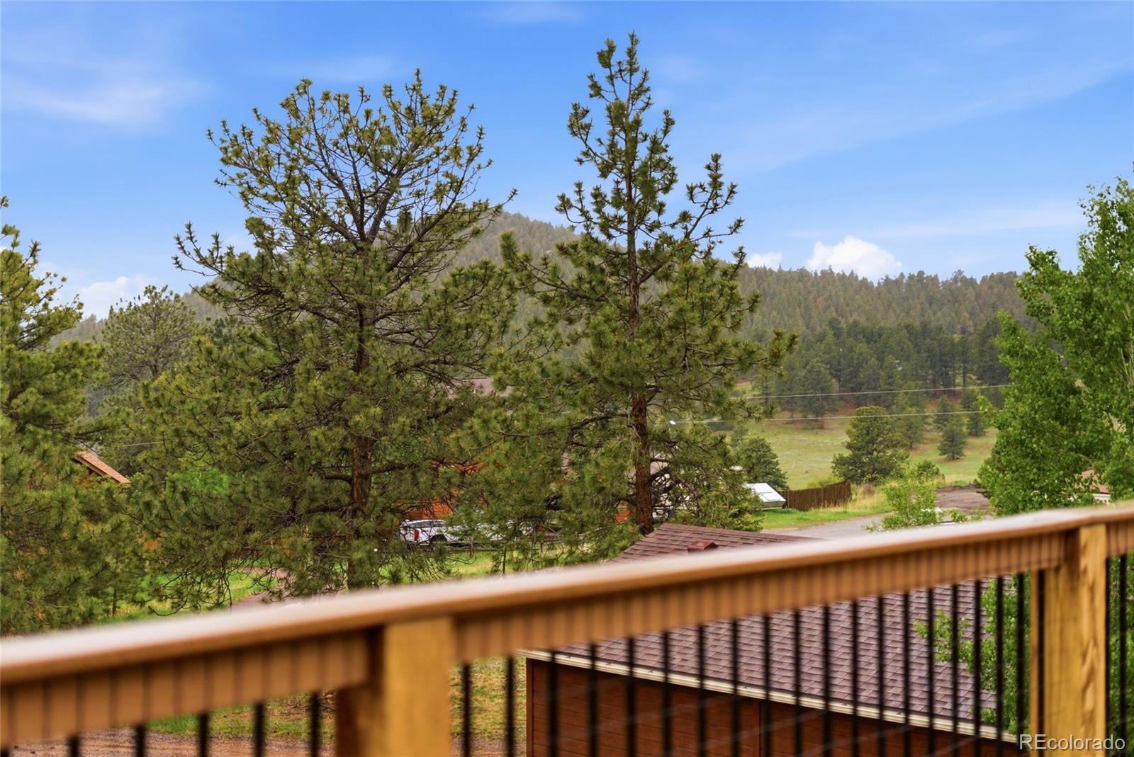 73 Sunlight Lane Bailey, CO 80421 - Photo 39 of 50