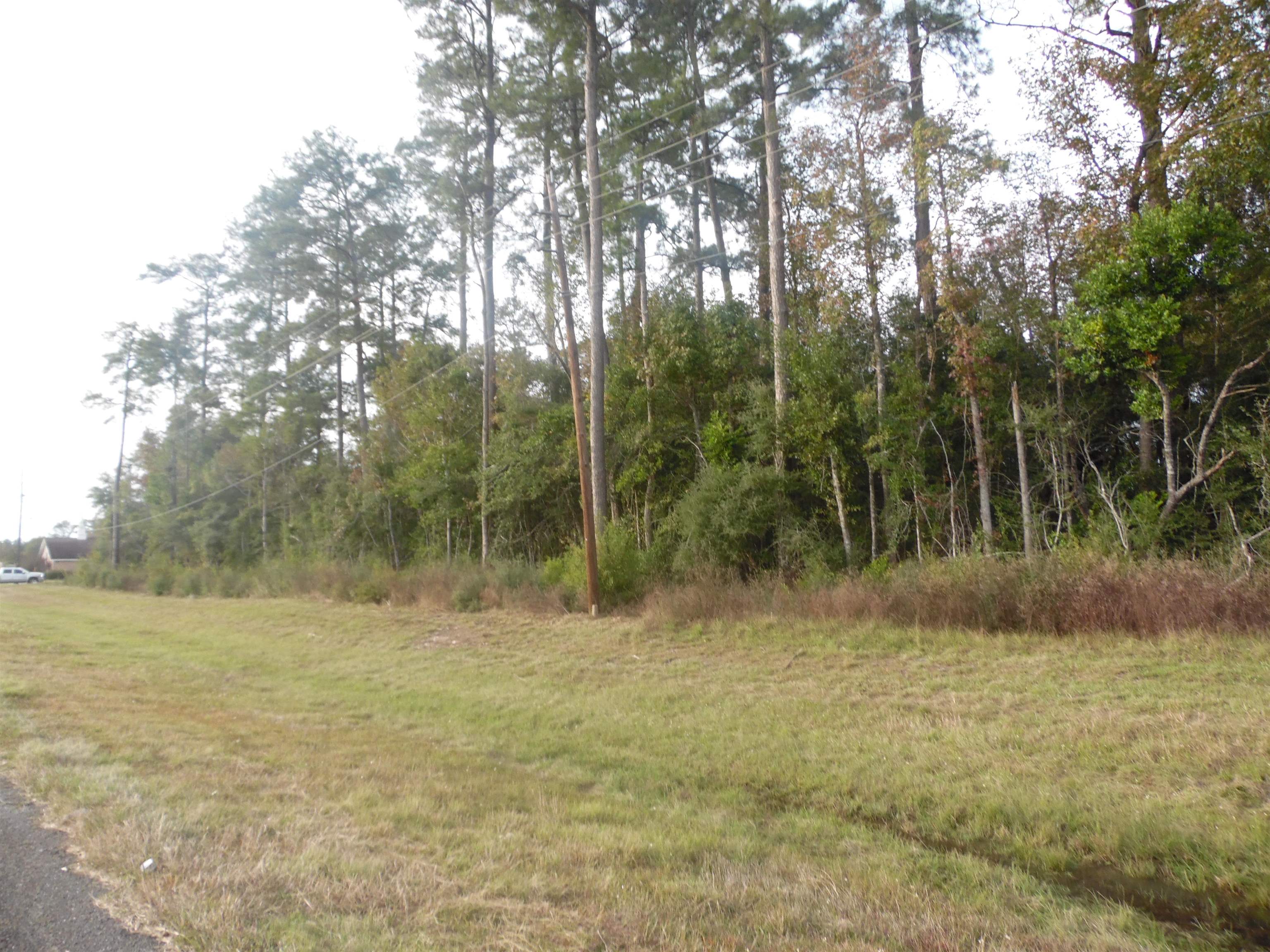 855 Gentry Drive Silsbee, TX 77656 - Photo 25 of 25