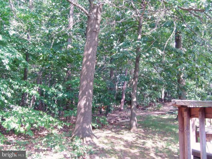 208 Finale Terrace Silver Spring, MD 20901 - Photo 3 of 12 Deck - View from