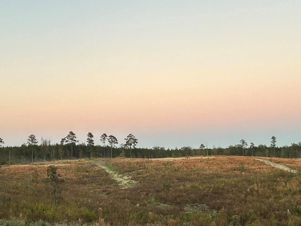 6 Fire House Road Liberty, MS 39645 - Photo 11 of 18 Main View