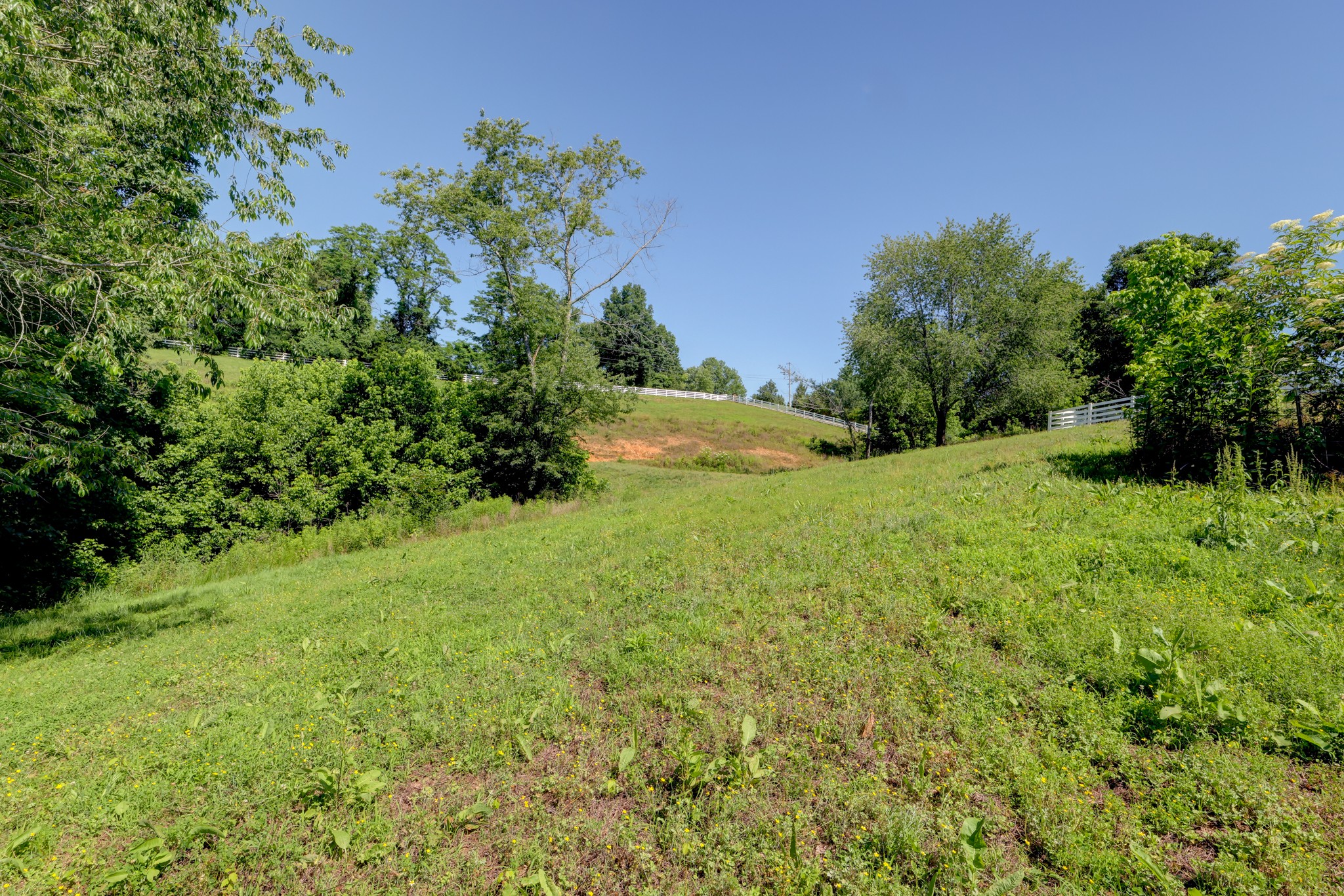 2251 Davidson Graveyard Road Clarksville, TN 37043 - Photo 15 of 78 a view of a garden with a building in the background
