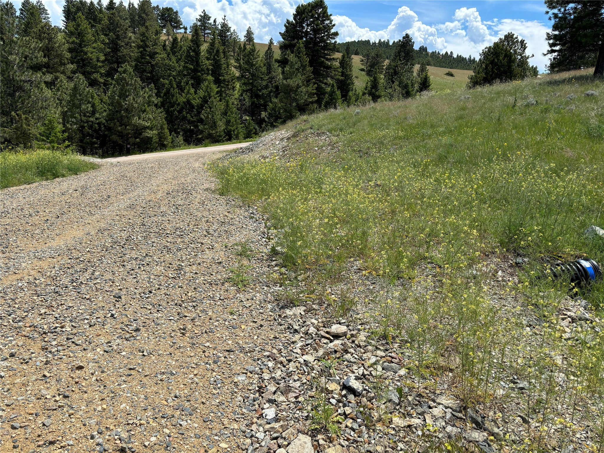 16 Mule Trail Road Clancy, MT 59634 - Photo 45 of 50 Gallery Image 45