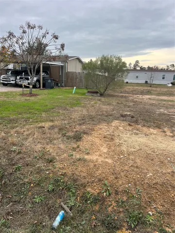 a view of a trees in front of a building