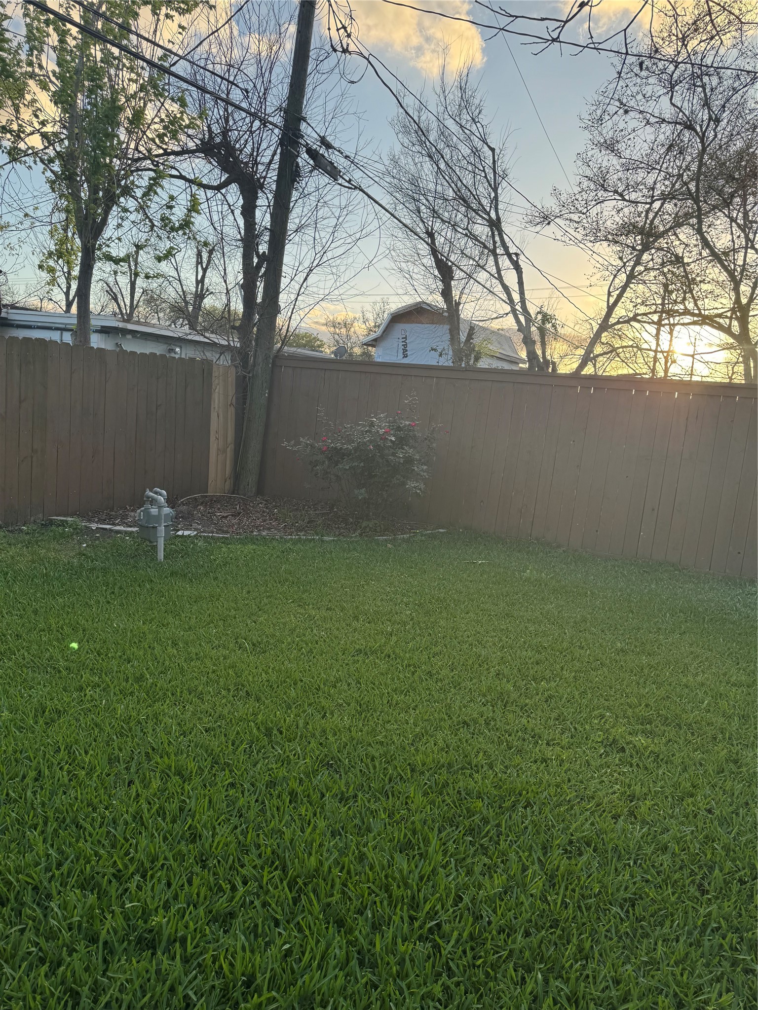 534 Sulphur Street Houston, TX 77034 - Photo 28 of 46 a backyard of a house with lots of green space
