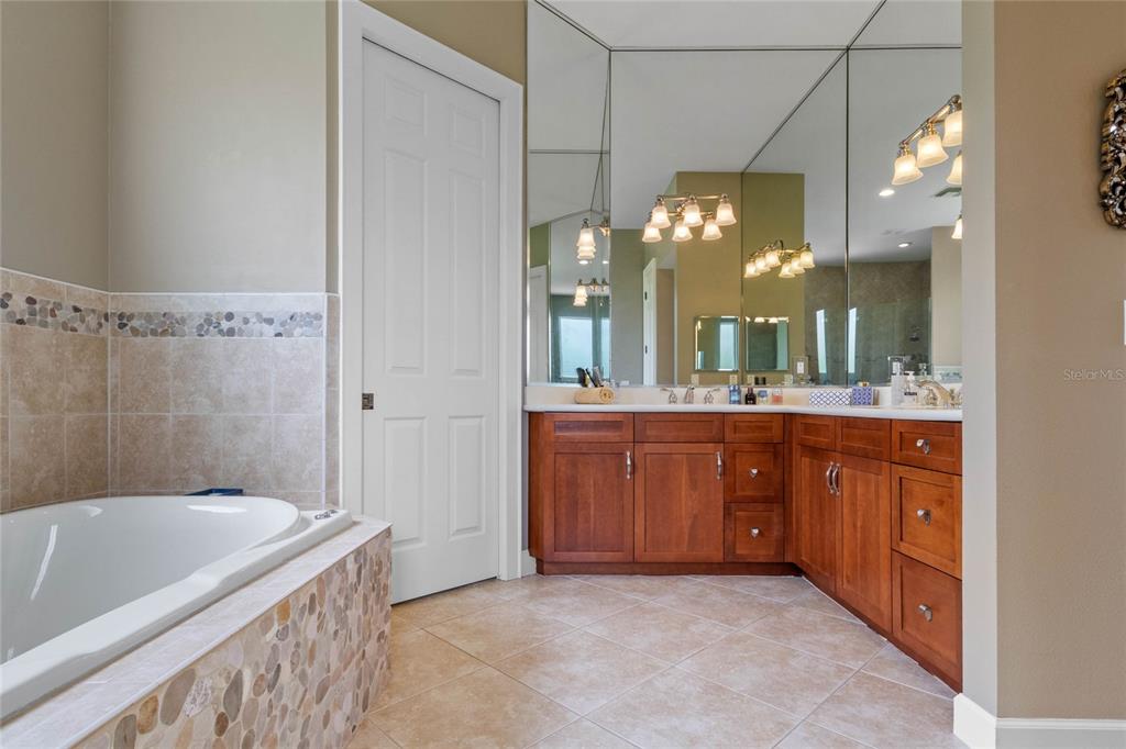 16940 Apopka Springs Boulevard Montverde, FL 34756 - Photo 20 of 36 a spacious bathroom with a bathtub sink and a mirror